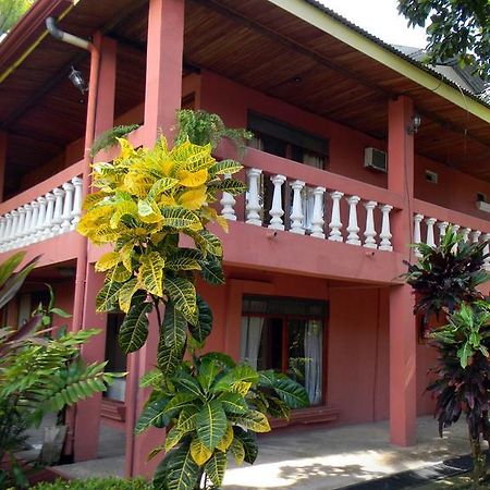 Cabinas Paraiso Pez Vela Quepos Exterior foto